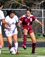 Galax JV Girls Soccer vs Carroll 3-26-25
