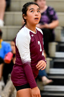 GALAX Volleyball vs Auburn  9-16-25