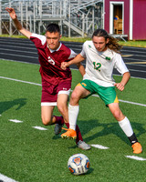 GALAX SOCCER VS NARROWS REGIONAL QUARTERFINAL 5-25-23