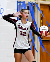 GALAX VOLLEYBALL vs NARROWS 8-29-23