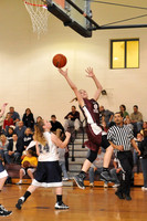 AAU GIRLS TOURNAMENT IN GALAX 3-28-10 (VARIOUS AGES AND TEAMS)