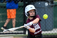 10 and Under Softball Alleghany Trojans vs Matt Hawks Insurance