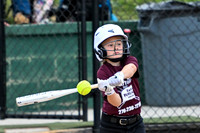 10 and Under Softball Alleghany Trojans vs Matt Hawks Insurance