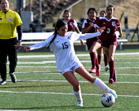 Galax JV Girls Soccer vs Carroll 3-26-25